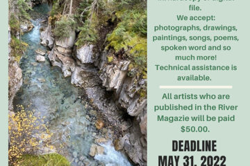 image of the call poster for issue 7 of the river magazine with an image of a river in a valley on the left and the call text on the right over a light green background